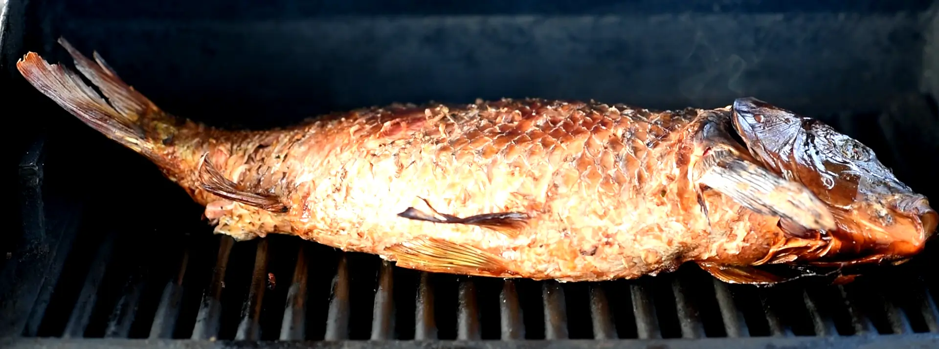 Baked Carp in the smoker