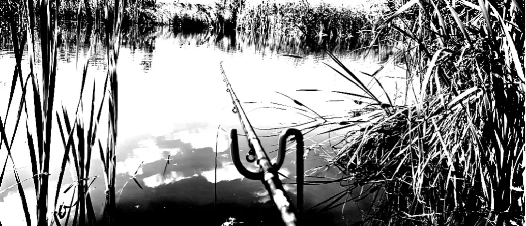 Fishing On The Lake